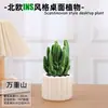 Las plantas en maceta son fáciles de cuidar en las salas de estar interiores.; plantas verdes hidropónicas, bonsáis creativos, plantas de la suerte, plantas pequeñas en maceta y árboles de la fortuna son todas excelentes opciones