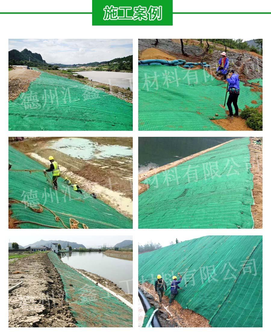 抗冲生物毯案例.jpg