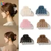 Nuevo Modelo Pequeño Clip para el Pelo Qiyue para Recogido en la Parte Trasera de la Cabeza, Pinza de Tiburón Color Gelatina, Pasador de Gama Alta, Accesorios para el Cabello para Mujer al por Mayor