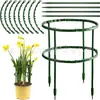 Marco de soporte para plantas transfronterizo estaca para plantas estaca de soporte para plantas herramienta de jardín bonsái soporte para orquídeas soporte para flores de vid trepadora