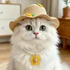 Sombrero de Sol de Verano para Gatos y Perros, Sombrero de Cereza y Piña para Mascotas, Perros Pequeños y Medianos, Decoración de Collar de Perlas de Oso de Peluche