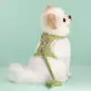 Coleira Peitoral em Forma de Colete para Cães Teddy, Bichon, Cães Pequenos, Peitoral para Gatos, Guia para Coelhos, Atacado de Suprimentos para Animais de Estimação