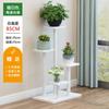 Suporte para Vasos de Flores Rack de Flores para Pothos de Chão Rack de Flores para Interior Rack de Armazenamento Multicamadas Novo Rack de Flores de Ferro para Varanda Decoração de Sala de Estar