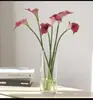 Casa modelo decoração simulação EVA dupla pétala calla lírio flor falsa floral design arranjo de flores acessórios simulação sentir taro