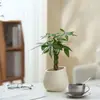 Ins Jiuli Escandinavo Planta Verde Fragante en Maceta Florales Oficina Sala de Estar Escritorio Interior Adornos Purificar el Aire y Eliminar Formaldehído