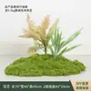 Musgo Artificial Verde para Paisagismo, Micro-Paisagens de Jardim, Materiais Decorativos, Musgo Sintético, Enfeites de Grama Artificial