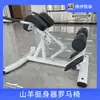 Cadeira Romana Comercial Máquina de Elevação de Bode Torcedor de Cintura Multifuncional Barcos Fitness Treinador de Músculo Lombar Músculo Abdominal Cadeira Romana