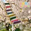Escada de Escalada para Pássaros Papagaios, Madeira Sólida, Corda de Cânhamo, Escada de Escalada Macaron, Acessórios de Brinquedo para Alívio do Tédio de Gaiolas de Pássaros, Dropshipping de Rede Completa