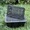 Cesta de Frutas Azul con Cereza y Arándano con Tapa, Cesta Rectangular Azul de Plástico para Recolección de Moras y Uvas para Shuobedi