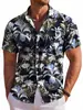 Camisa Casual de Moda Hawaiana de Estilo Nuevo para Hombre, Transfronteriza Europea y Americana, Impresión Digital 3D, Manga Corta, Fábrica de Origen