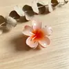 Nuevo Clip para el Cabello Estilo Europeo y Americano, Colorido Degradado, Forma de Corazón, Plumeria, Estilo Festivo para Sesiones de Fotos, Dulce y de Hada, para la Parte Posterior de la Cabeza