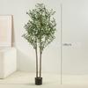 Planta Verde de Simulación Transfronteriza Removible Olivo Nórdico Hogar Adornos de Planta en Maceta Falsa Celebrado en Internet Decoración de Ventana Árbol de Simulación