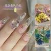 Nail Art Flores Secas Estilo Japonês Girassol Fresco Misto Flores Reais Pequenas Decorações Florais de Carrinho de Unhas Flores Secas Por Todo O Céu Estrelas