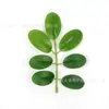 Filme Artificial de Venda Quente Transfronteiriça Kit com 7 Peças Folha de Amendoim Guirlanda de Flores DIY Buquê Floral Decoração de Casamento Acessórios para Plantas Verdes