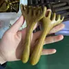Pente de Chifre Pente Massageador Rake de Chifre Dispositivo de Pendurar Nariz de Sapo Pequeno Pente de Seda Dourada Sândalo Verde Massageador de Chifre