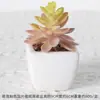 Suculentas Simuladas Personalizadas Cerámica Bonsái Plantas Verdes Escandinavas Adornos Hogar Interior Sala de Estar Flores Falsas Suculentas Plantas en Maceta