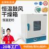 Daxiang 101-2Bs Horno de Horneado de Temperatura Constante con Temporizador de Pantalla Digital de Aire Caliente Secador de Granos de Semillas Pastillas Horno