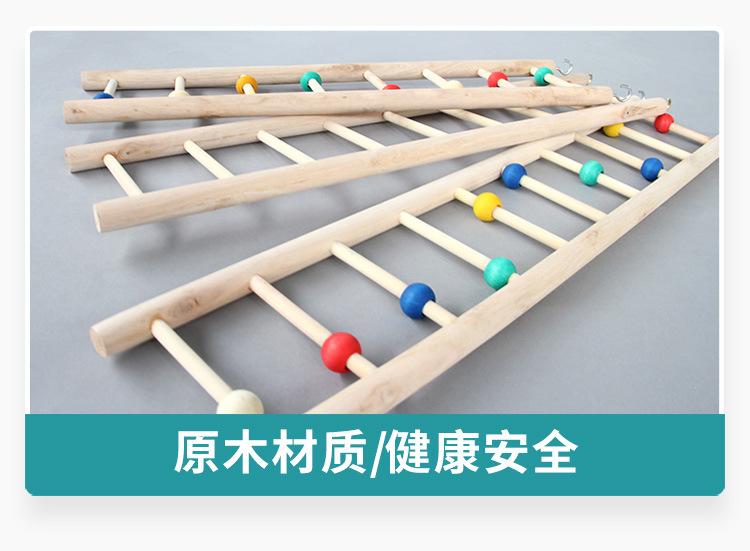 910_13.jpg?x-oss-process=image/format,png