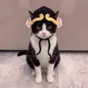 Gorro Lindo y Divertido para Mascota Disfraz de Gato Accesorio para la Cabeza Accesorios para Perro Collar Adornos Tejidos Nuevos 2026