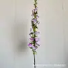 Flores Artificiales para Boda Colección Morada Serie Salón de Bodas Jardín Monet Arco Exterior Muro de Flores Estudio Fotográfico Floral Paisajismo