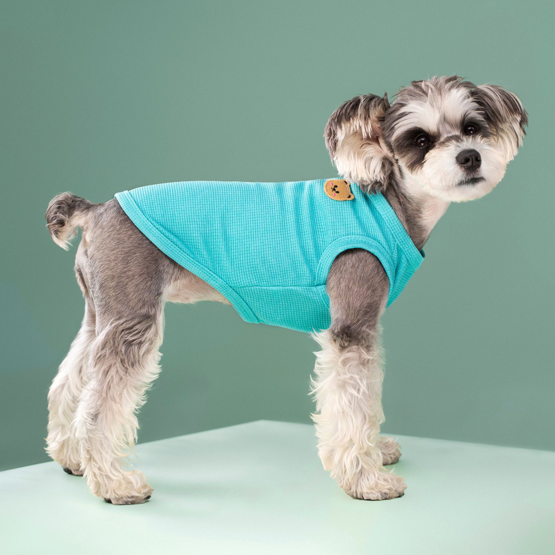 WD4A2587_1 - 开心看图王.jpg