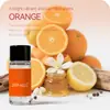 Aromaterapia para Coche Tipo Salida de Aire Aceite Esencial Aromático Perfume para Coche Exclusivo Transfronterizo Estilo Caliente de Amazon 12 Sabores