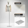Modelo masculino de estilo coreano ajustado, accesorios de media figura humana, escaparate de ropa, modelo informal de moda, expositor de cuerpo entero