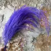 Hierba Barba de Dragón, Flor Inmortal, Arreglo de Boda, Flor Seca, Hierba de Pelo Largo, Hierba de Junco, Espacio de Banquete de Bodas, Entrega de Arte Floral