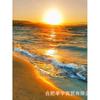 Fabricante Venta al por Mayor Nuevo DIY Paisaje Marino Serie Atardecer Pintura de Diamantes Mosaico 5D Diamante Punto de Cruz Hogar