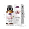 Aromaterapia solúvel em água transfronteiriça 30ml quarto lavanda planta incenso umidificador solúvel em água óleo essencial atacado