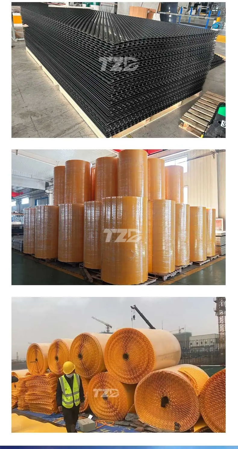 详情(1)_12_副本