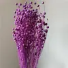 Hierba de Amante Flor Eterna Flor Real Natural Ramo de Flores Eternas Caja de Regalo para el Día de San Valentín con Arreglo Floral de Aromaterapia Especial al por Mayor