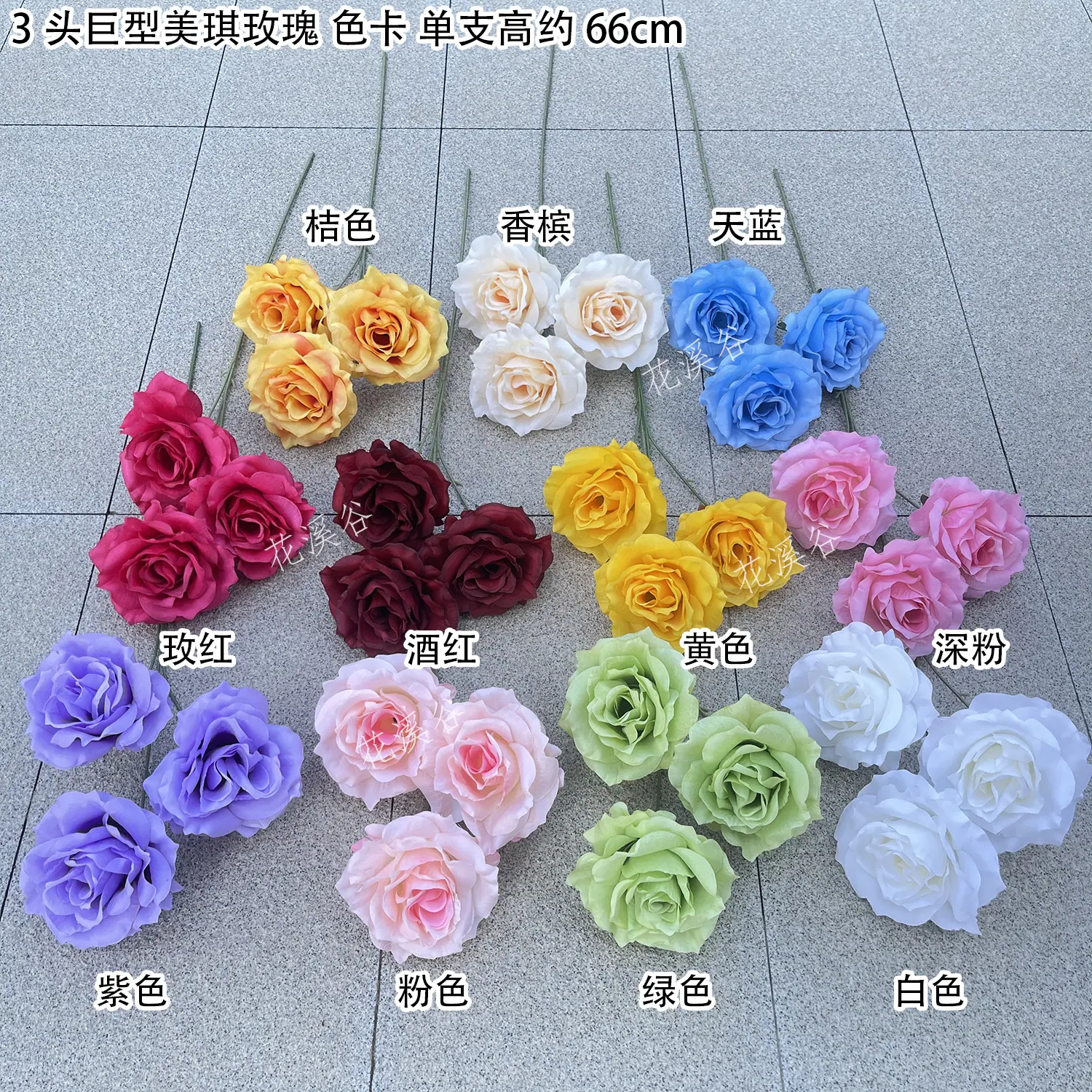 3头巨型美琪玫瑰 色卡 花溪谷.jpg