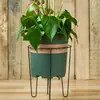 Suporte de Flores Baixo de Ferro Forjado de Camada Única Estilo Europeu para Chão Suporte para Vasos de Flores de Varanda Sala de Estar Suporte Simples de Ferro Forjado para Rabanete Verde Pequeno