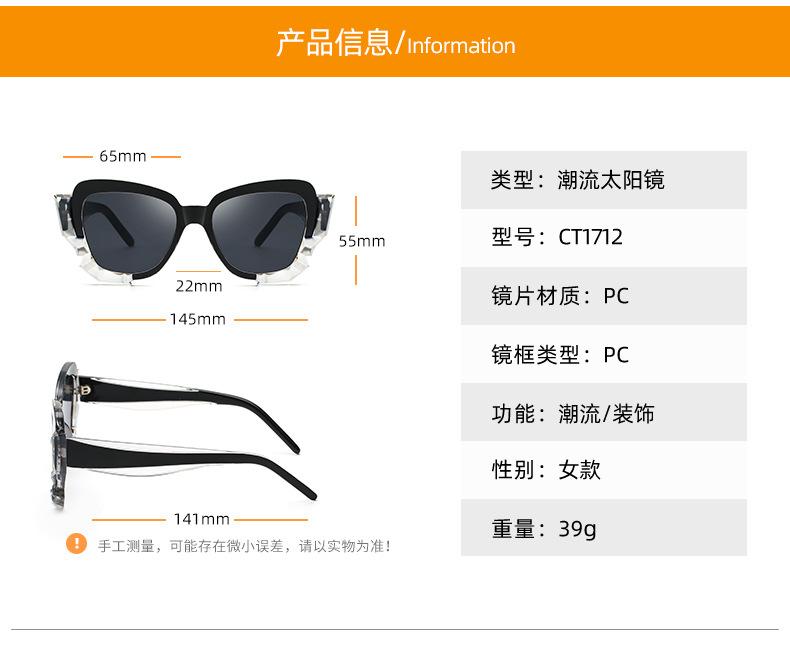 崇瑾太阳镜_08.jpg