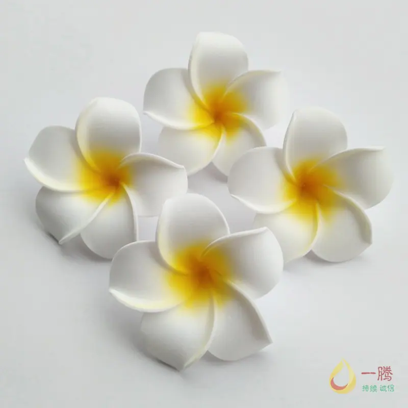 鸡蛋花