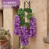 Nova flor decorativa pendente de wisteria de três pétalas grandes, trepadeira de flor artificial para decoração de teto de casamento interno, planta pendente de trepadeira de plástico