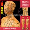 Modelo de Acupuntura Humana Meridiano Pontos de Acupuntura Medicina Tradicional Chinesa Corpo Inteiro Doze Homem de Bronze Modelo Figura Homem Pequeno Agulha Praticando Homem de Pele Pequena