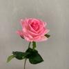 Gelo Moído Azul Michigan Flor Rosa Simulada Hidratante Flor Falsa de Celebridade Cibernética Conjunto de Decoração de Casamento Enfeites para Casa
