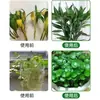 Regenerador de Plantas Solución Nutritiva Concentrada, Universal para Plantas Verdes, Cuidado de Flores y Plantas en Maceta, Fertilizante para Jardinería Casera, Fertilizante Soluble en Agua