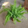 Helecho de Boston Planta en Maceta, Planta Verde en Maceta Grande Colgante, Fácil de Mantener en Interiores, Perenne Todo el Año, Helecho de Boston Dorado, Helecho Rey