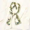 Bufanda delgada y estrecha estilo coreano para primavera y otoño, bufanda pequeña fresca para mujer, bufanda larga decorativa versátil, corbata de verano para bolsa, cinta de moda
