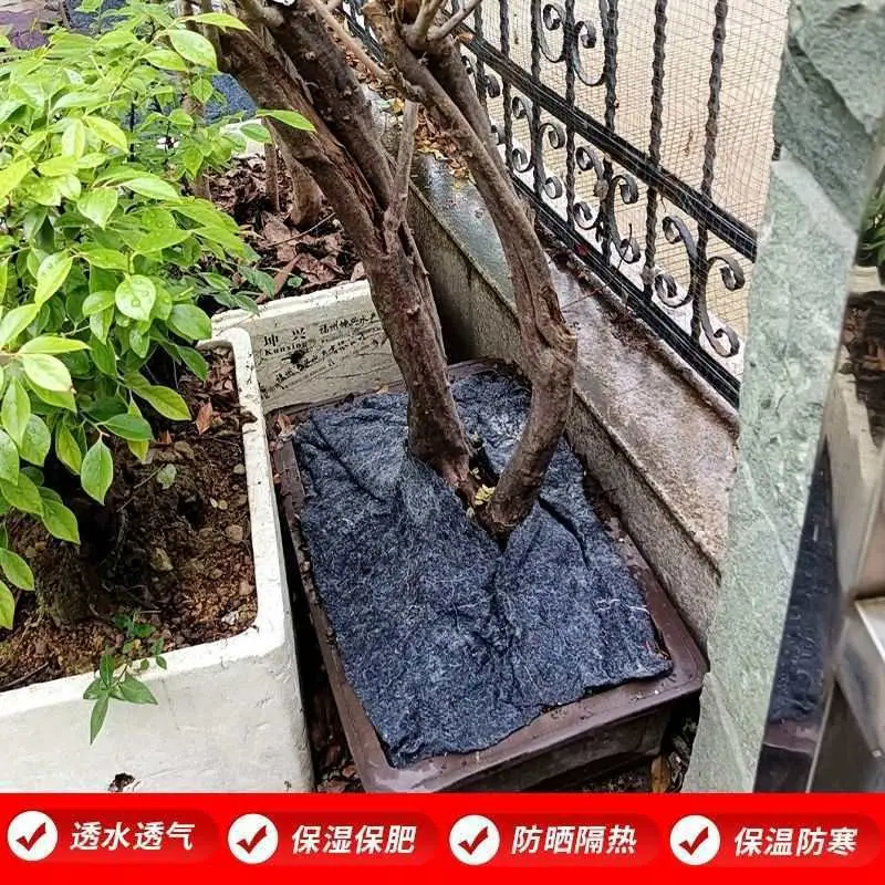 微信图片_20250910092437_1750_79.jp