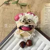 Muñeca de Cáscara de Fruta DIY Actividad de Salón Popular en Xiaohongshu Colgante Alivio del Estrés Terapia de Sonido Regalo del Día del Maestro