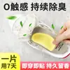 Parches Desodorantes para Zapatos para Eliminar el Olor a Zapato, Suprimir el Olor y Eliminar los Malos Olores; una Solución Mágica para Eliminar el Mal Olor y el Sudor de Zapatos y Calcetines; Pastillas Desodorantes