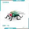 Simulación Transfronteriza Modelo de Araña Real Unicornio Insecto Juguetes para Niños Mariposa Abeja Adornos de Animales