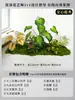 Musgo para Paisajismo de Plantas Verdes Plantas Artificiales Decoración Flores Artificiales Combinación Tropical para Interiores Paisaje de Ventana Persa Arreglo de Césped