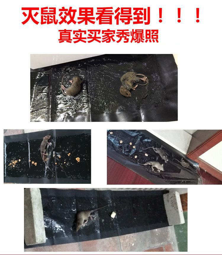 zhanshu_01.jpg