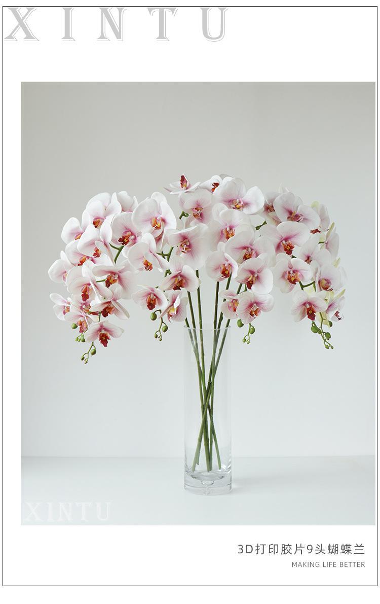 3D打印9头蝴蝶兰_01.jpg