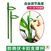 5 Hastes de Suporte para Plantas para Orquídeas, Proteção de Folhas, Monstera, Caladium, Estrutura de Suporte para Jardinagem, Fixação Antiderrapante para Flores